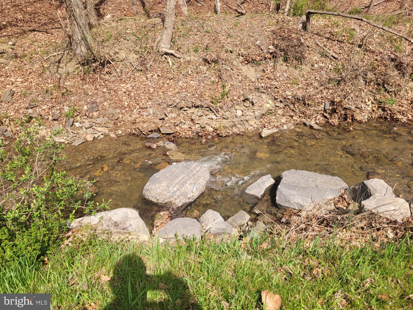 1224 Dry Run Rd Property Photo 38