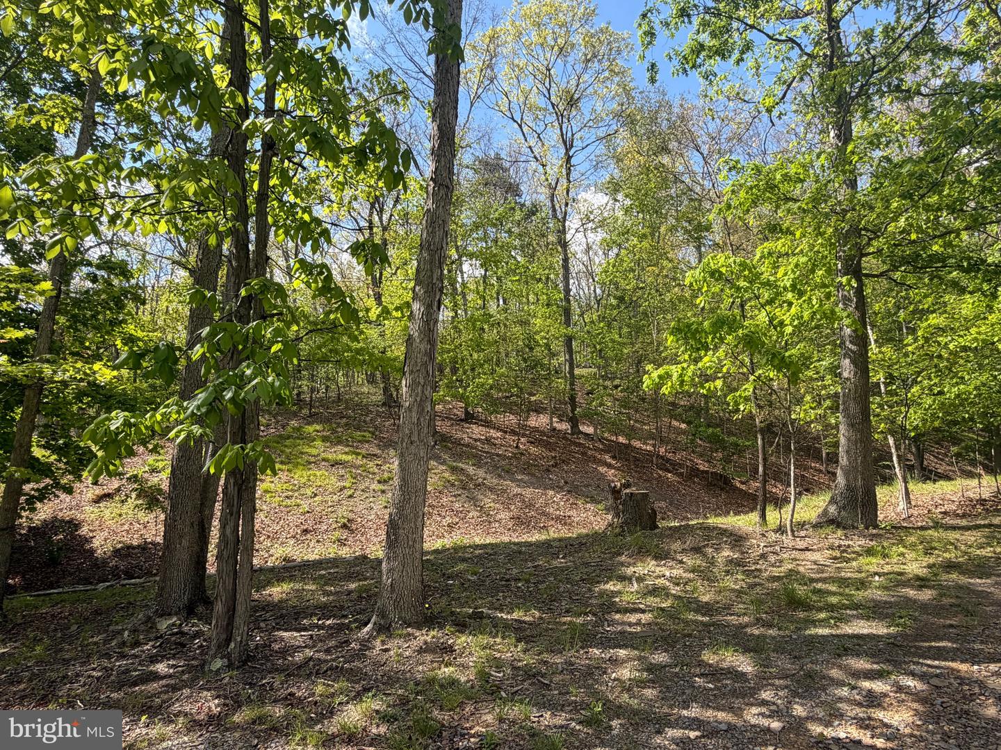 00 BAKER HOLLOW