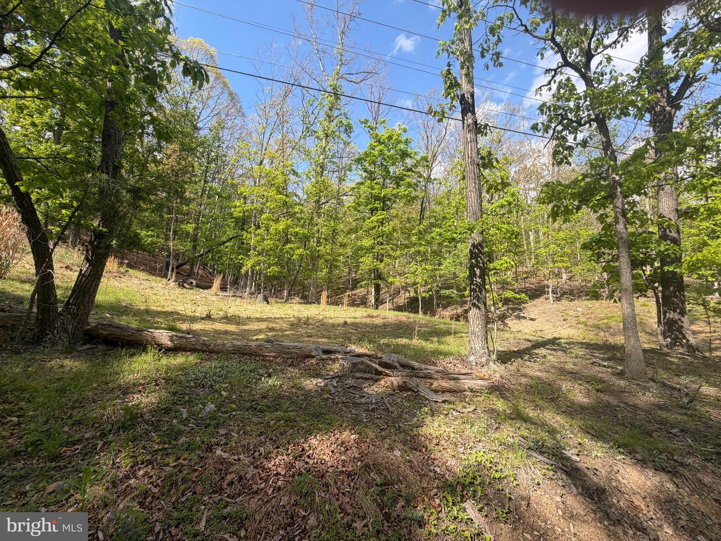 00 Baker Hollow Property Photo 2