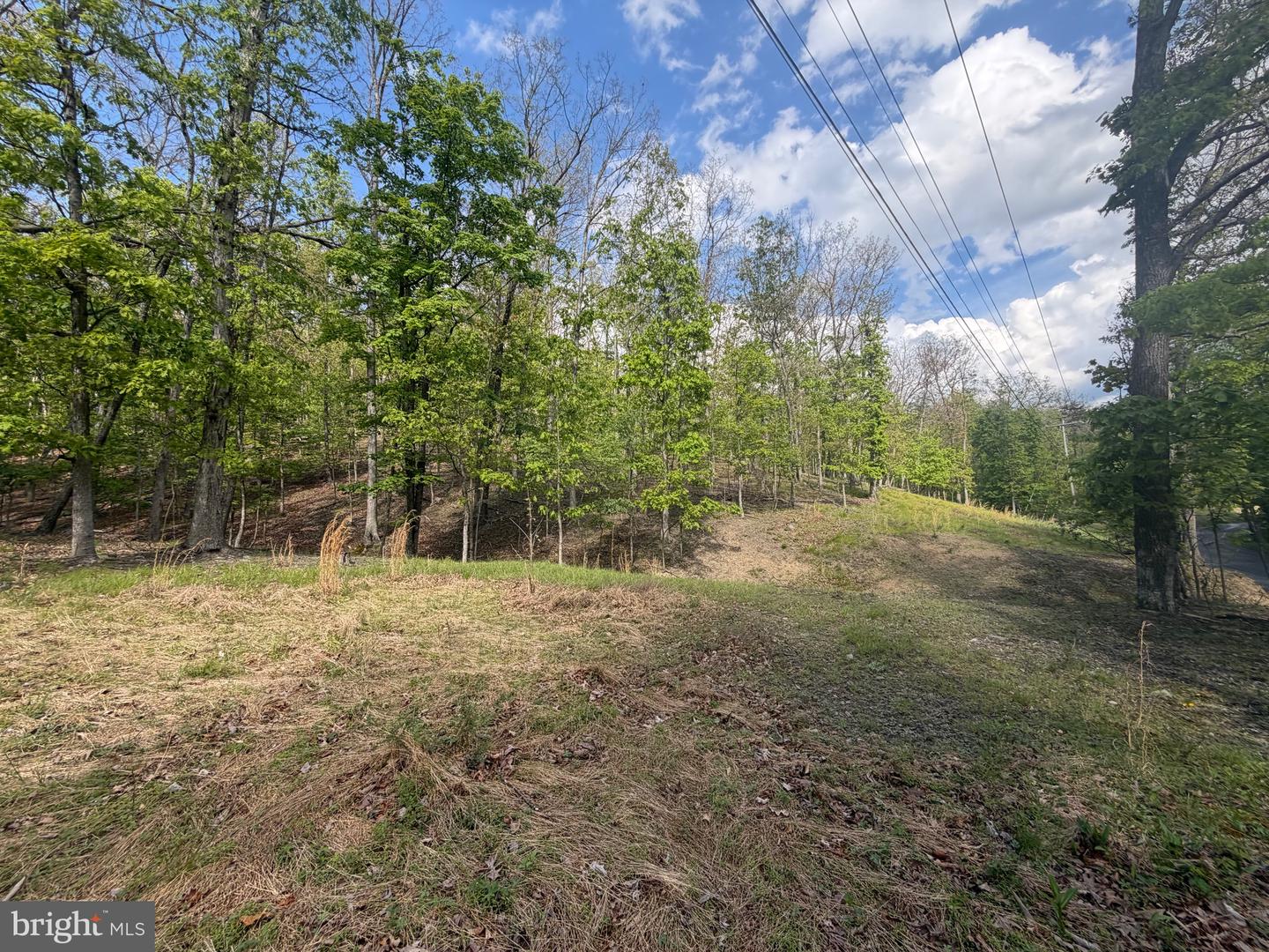 00 Baker Hollow Property Photo 4