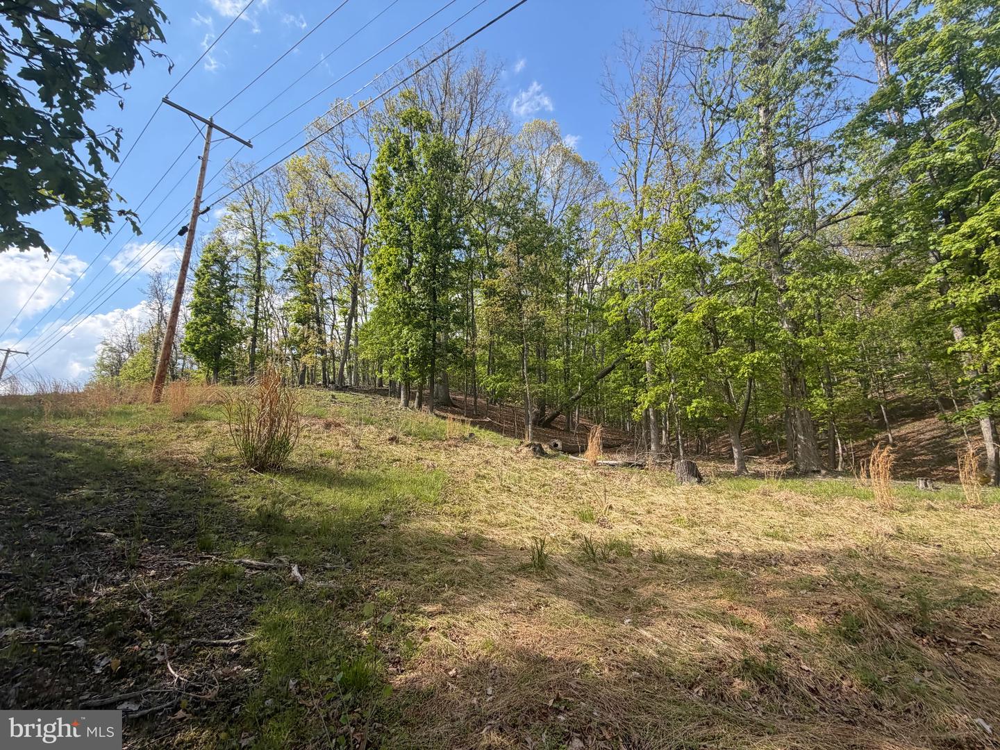 00 Baker Hollow Property Photo 5