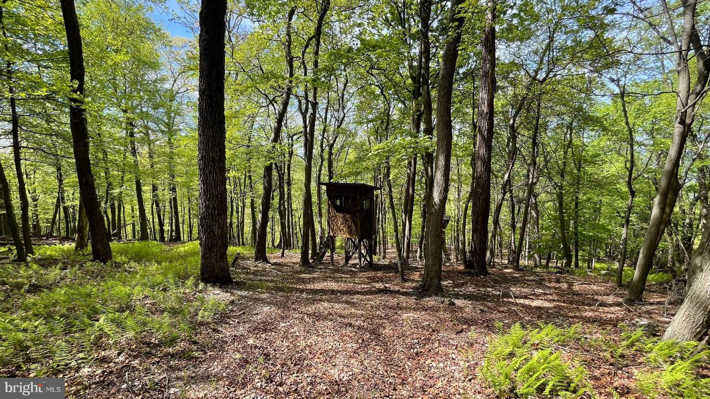133.944 Acres Russelldale Rd Property Photo 1
