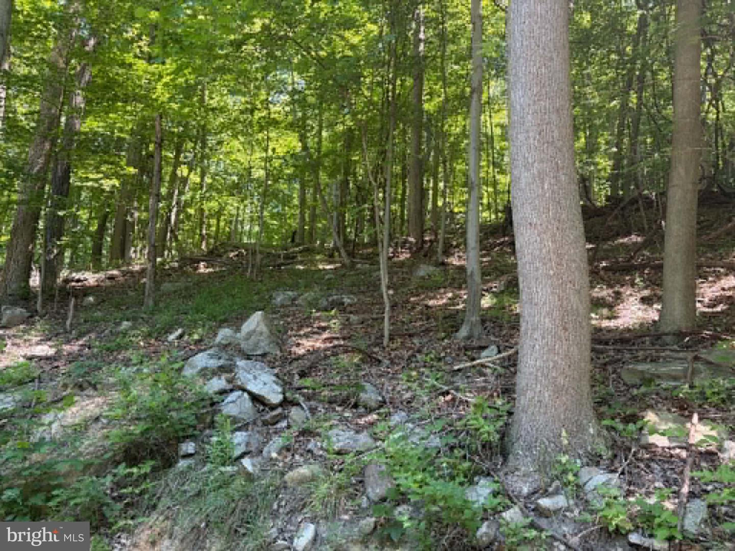 1515 Barnum Road Property Photo 14