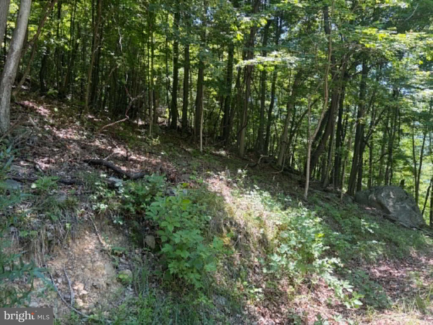 1515 Barnum Road Property Photo 15