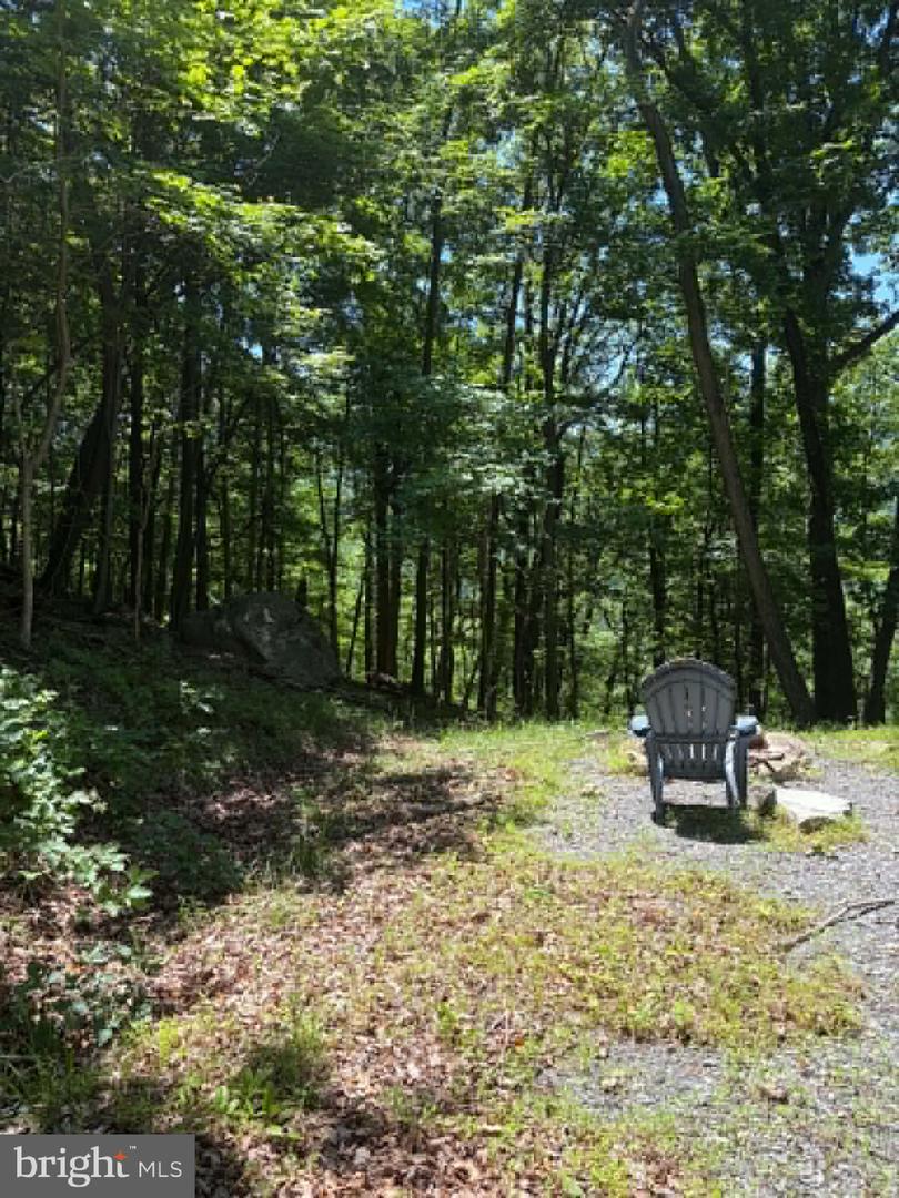 1515 Barnum Road Property Photo 16