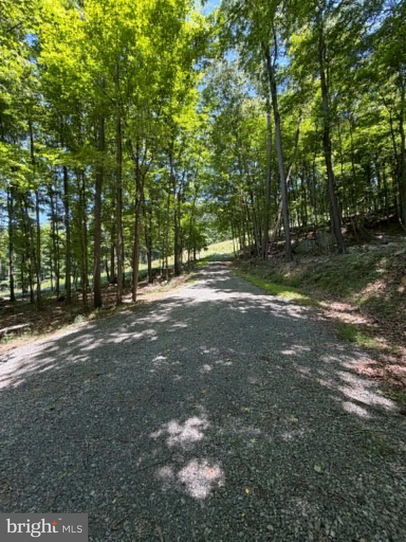 1515 Barnum Road Property Photo 17