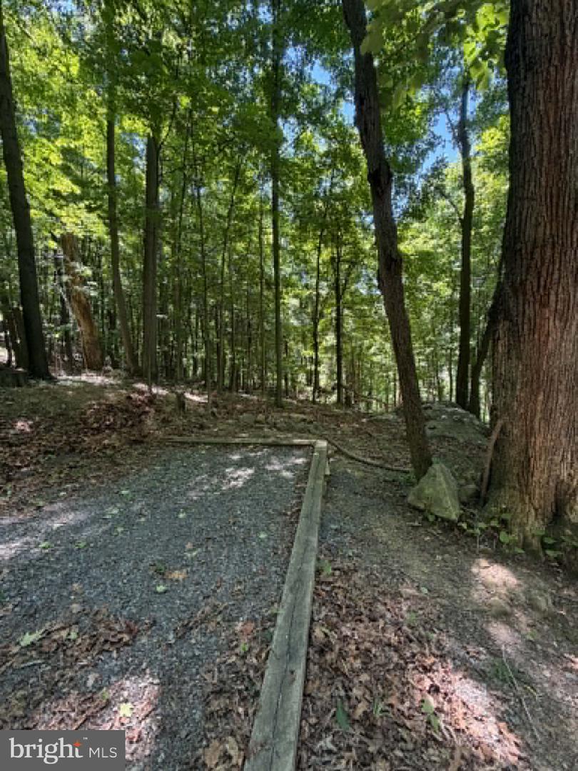 1515 Barnum Road Property Photo 19