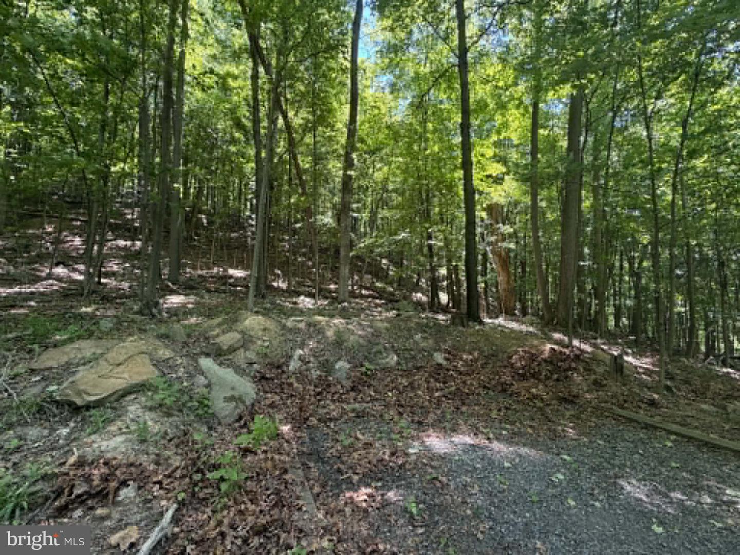 1515 Barnum Road Property Photo 20