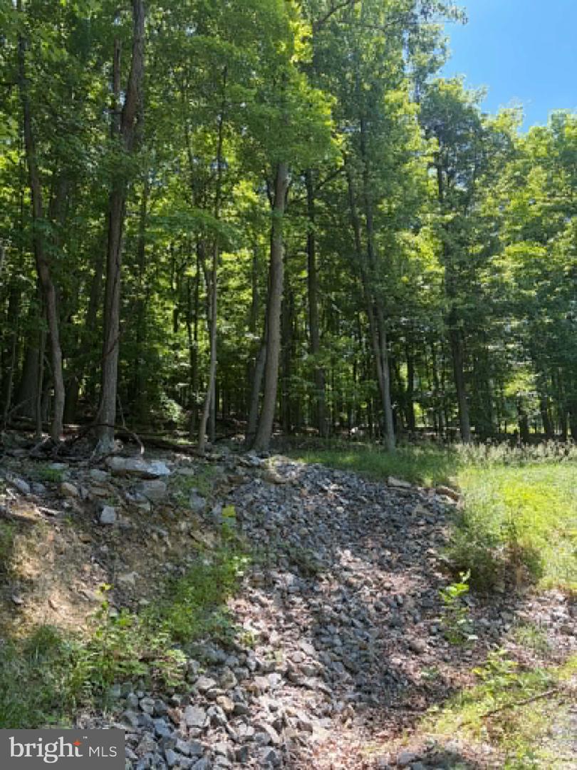 1515 Barnum Road Property Photo 21