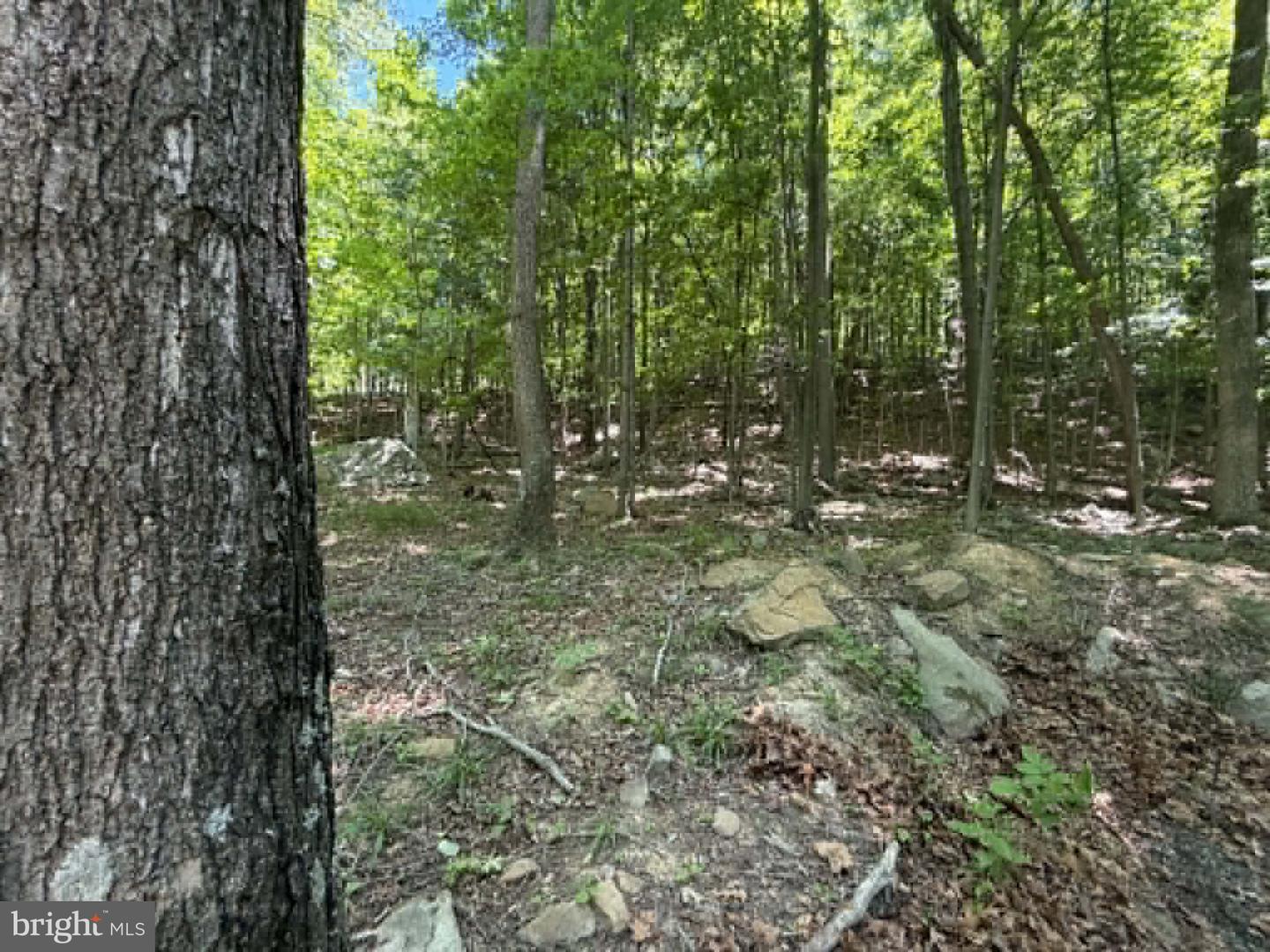 1515 Barnum Road Property Photo 22