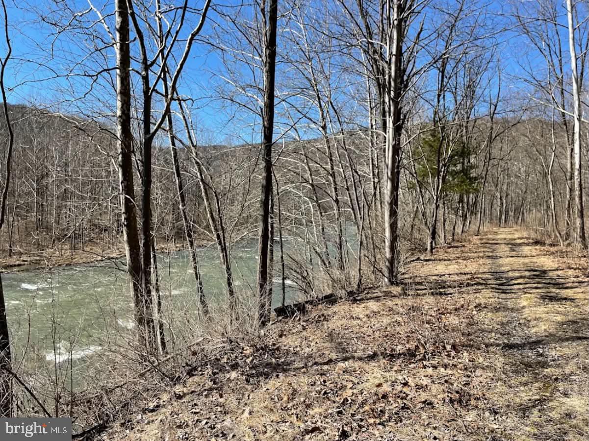 1515 Barnum Road Property Photo 28
