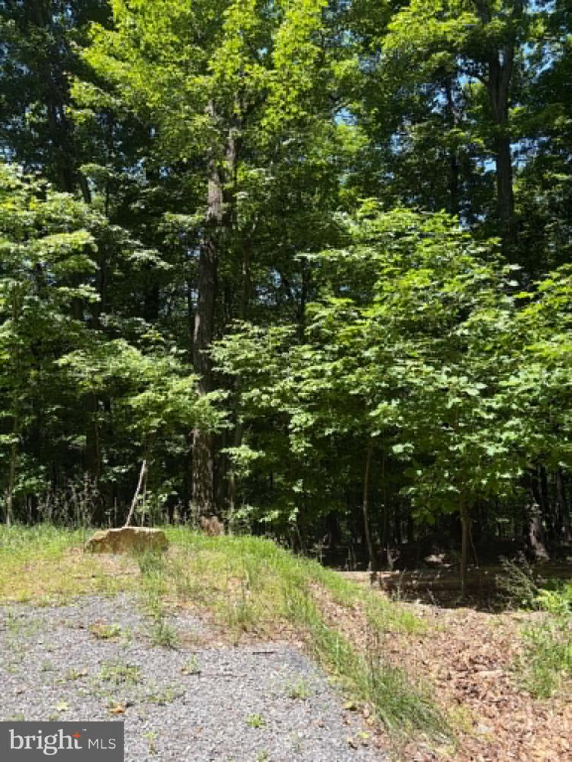 1515 Barnum Road Property Photo 29