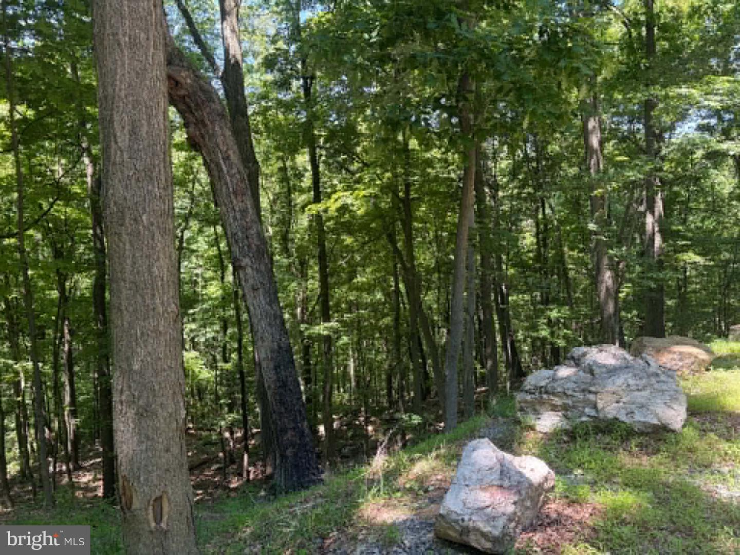 1515 Barnum Road Property Photo 32