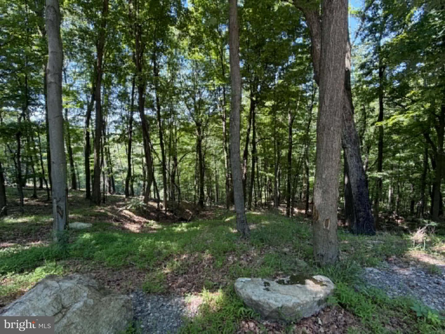 1515 Barnum Road Property Photo 33