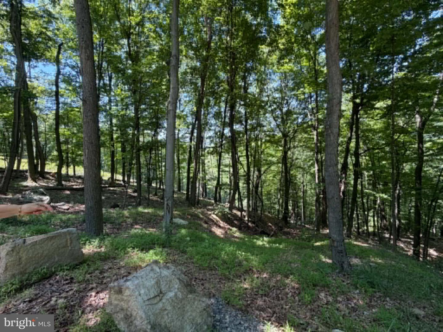 1515 Barnum Road Property Photo 34