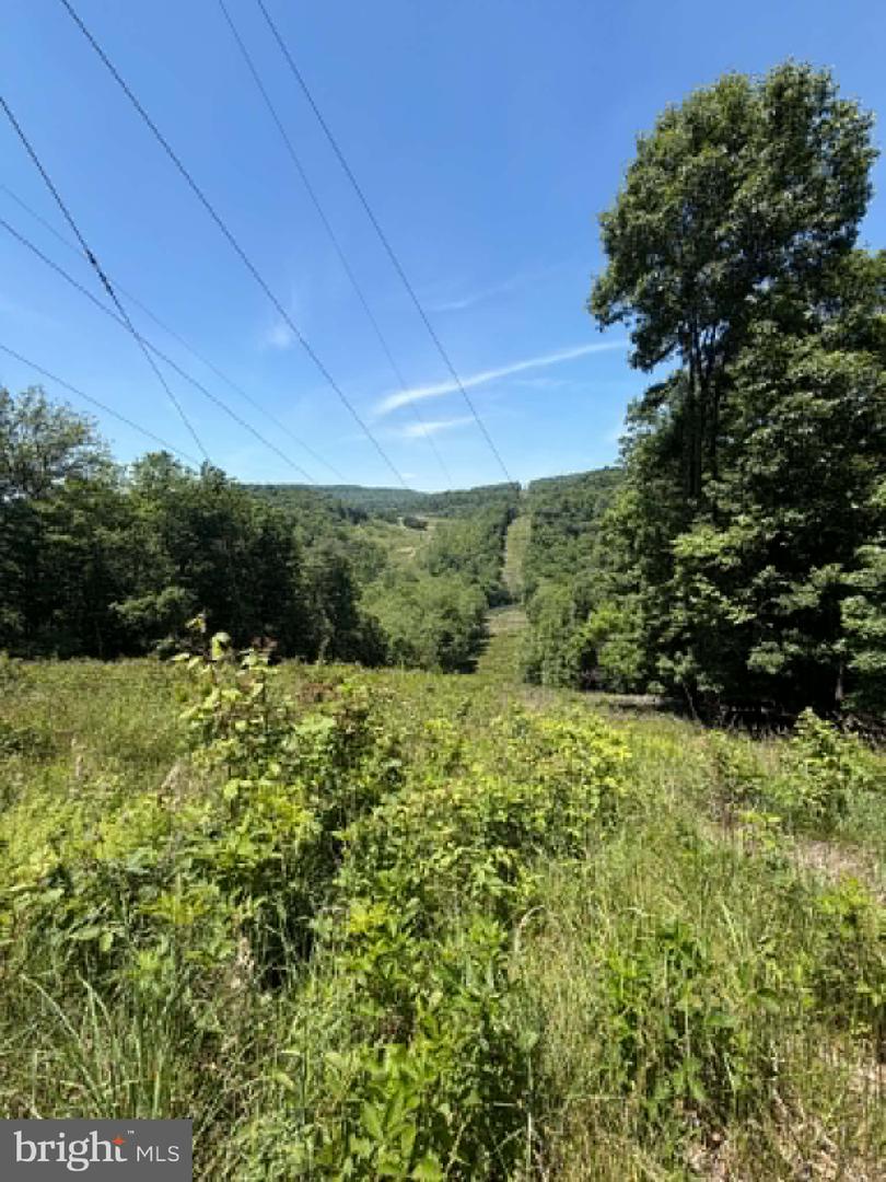 1515 Barnum Road Property Photo 37