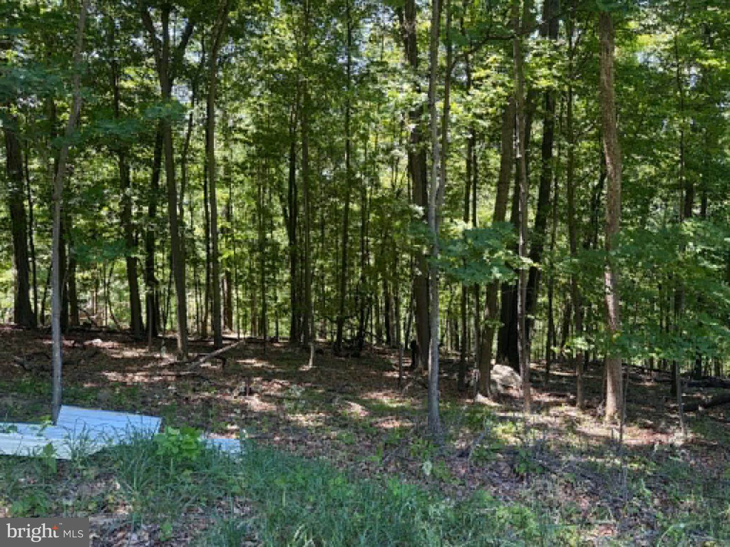 1515 Barnum Road Property Photo 39