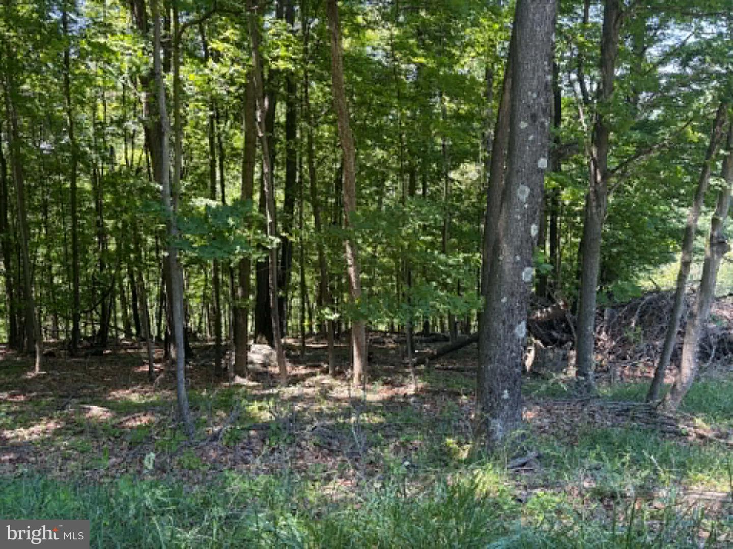 1515 Barnum Road Property Photo 40