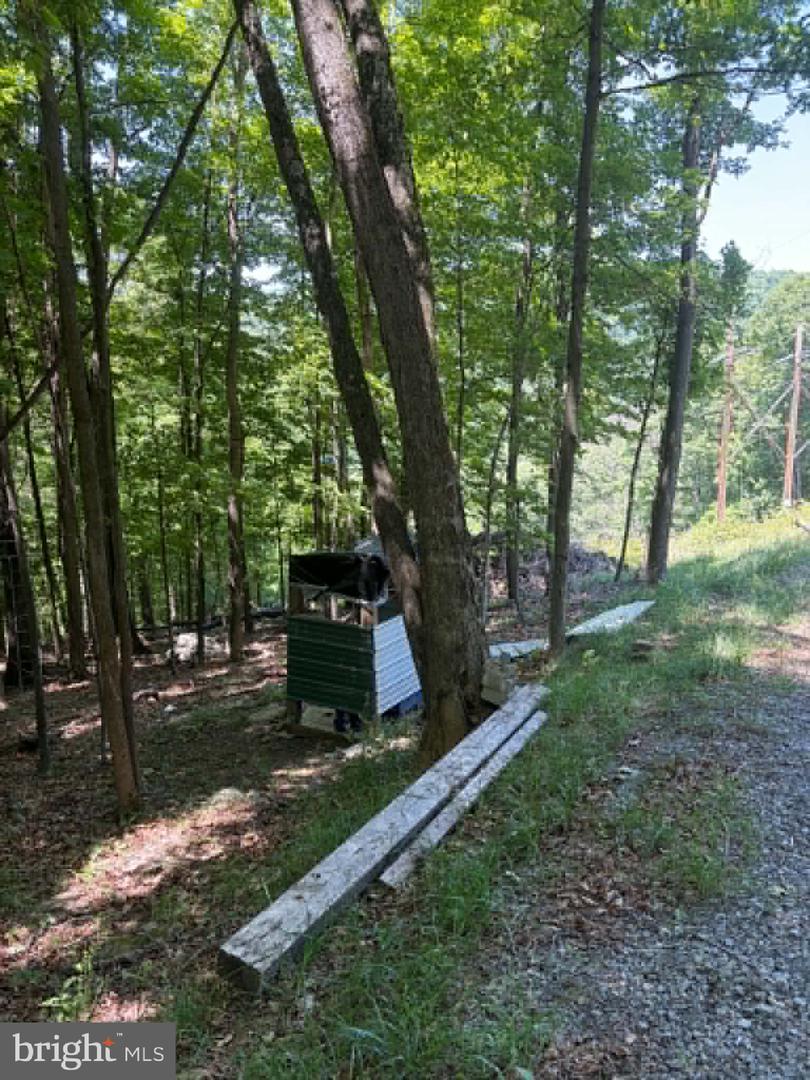 1515 Barnum Road Property Photo 41
