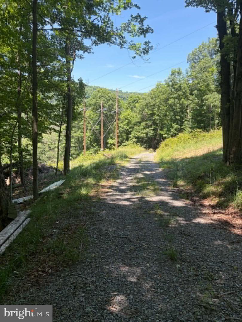 1515 Barnum Road Property Photo 42