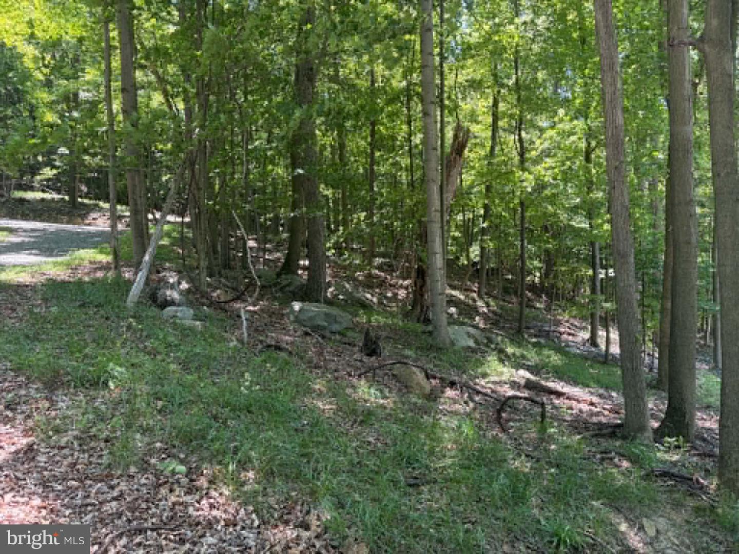 1515 Barnum Road Property Photo 44