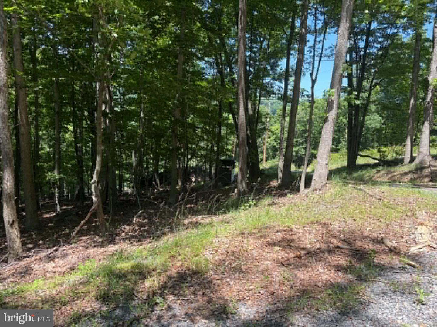 1515 Barnum Road Property Photo 45