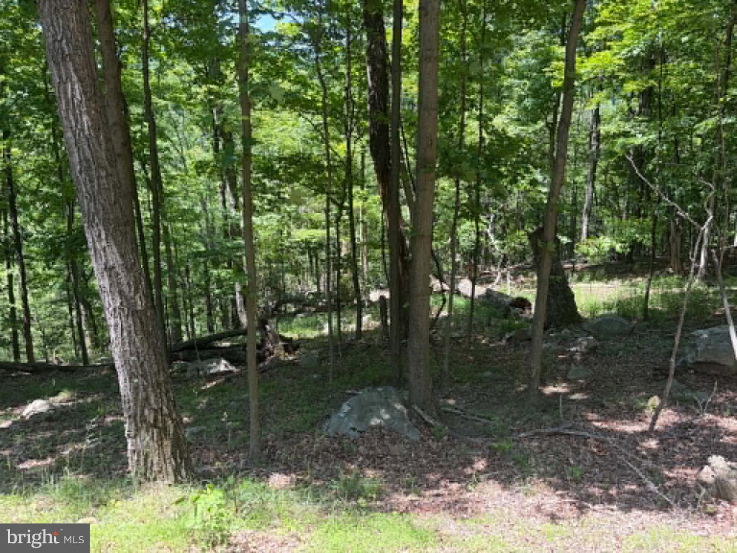 1515 Barnum Road Property Photo 46