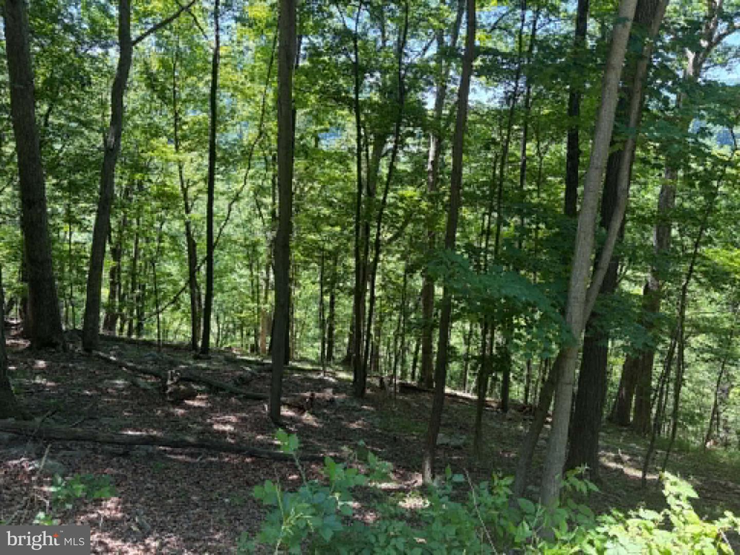 1515 Barnum Road Property Photo 47