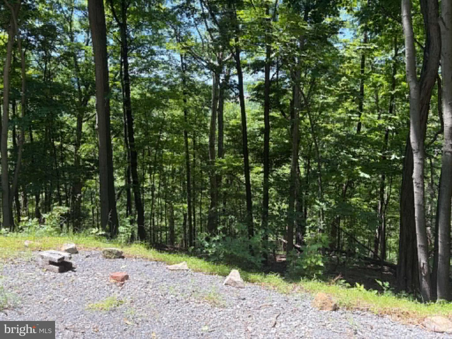 1515 Barnum Road Property Photo 48