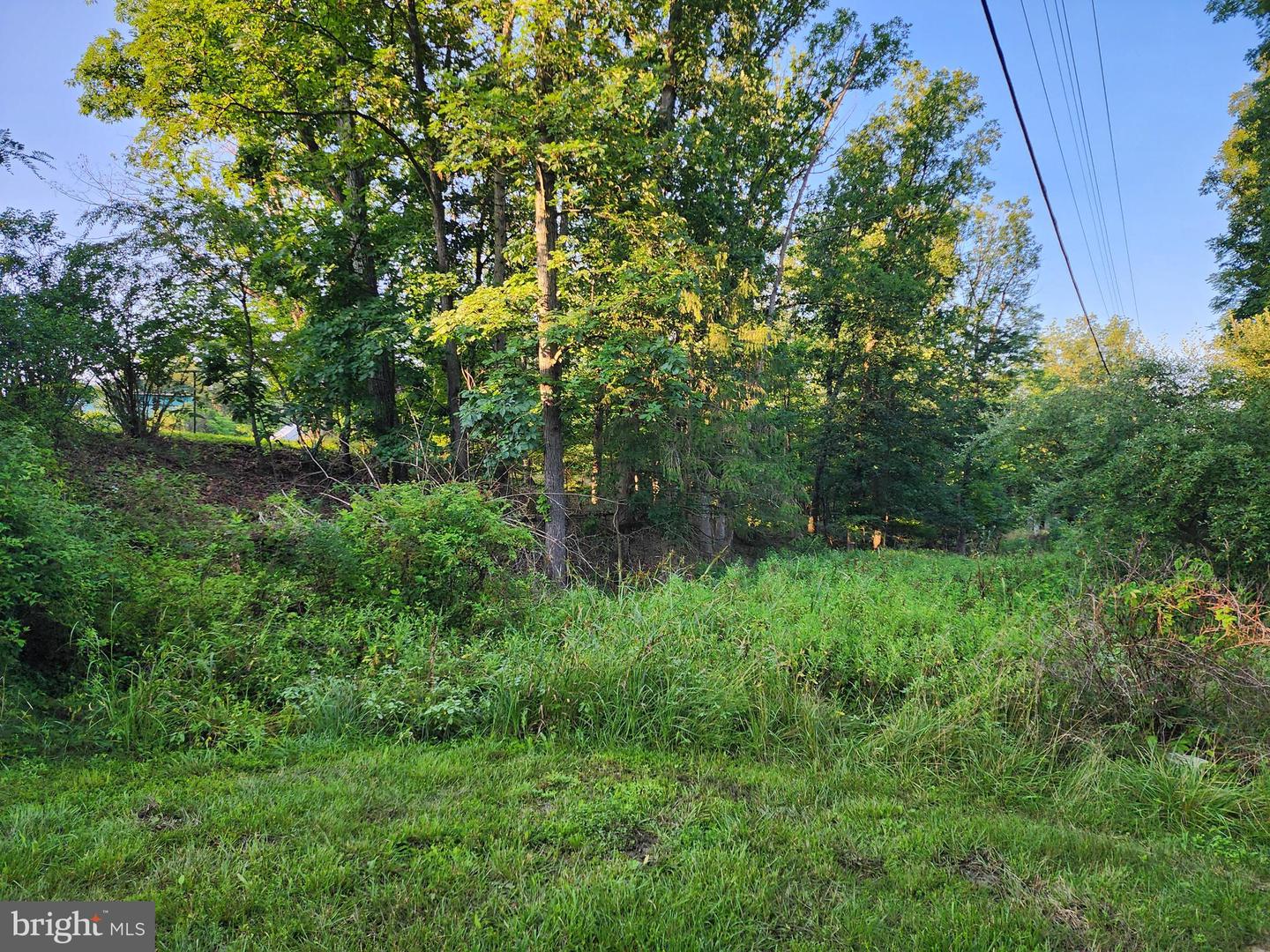 4549 Georges Run Rd Property Photo 19
