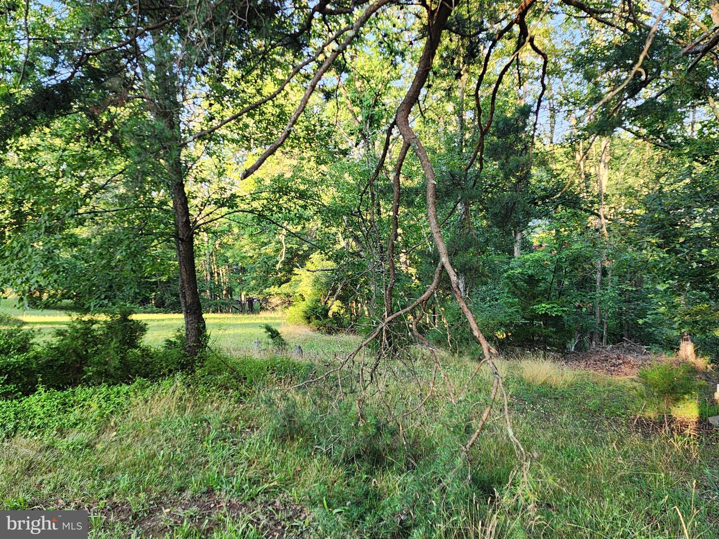4549 Georges Run Rd Property Photo 20