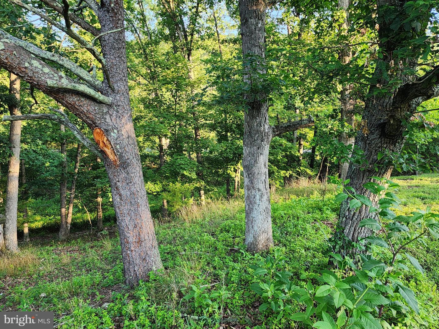4549 Georges Run Rd Property Photo 21