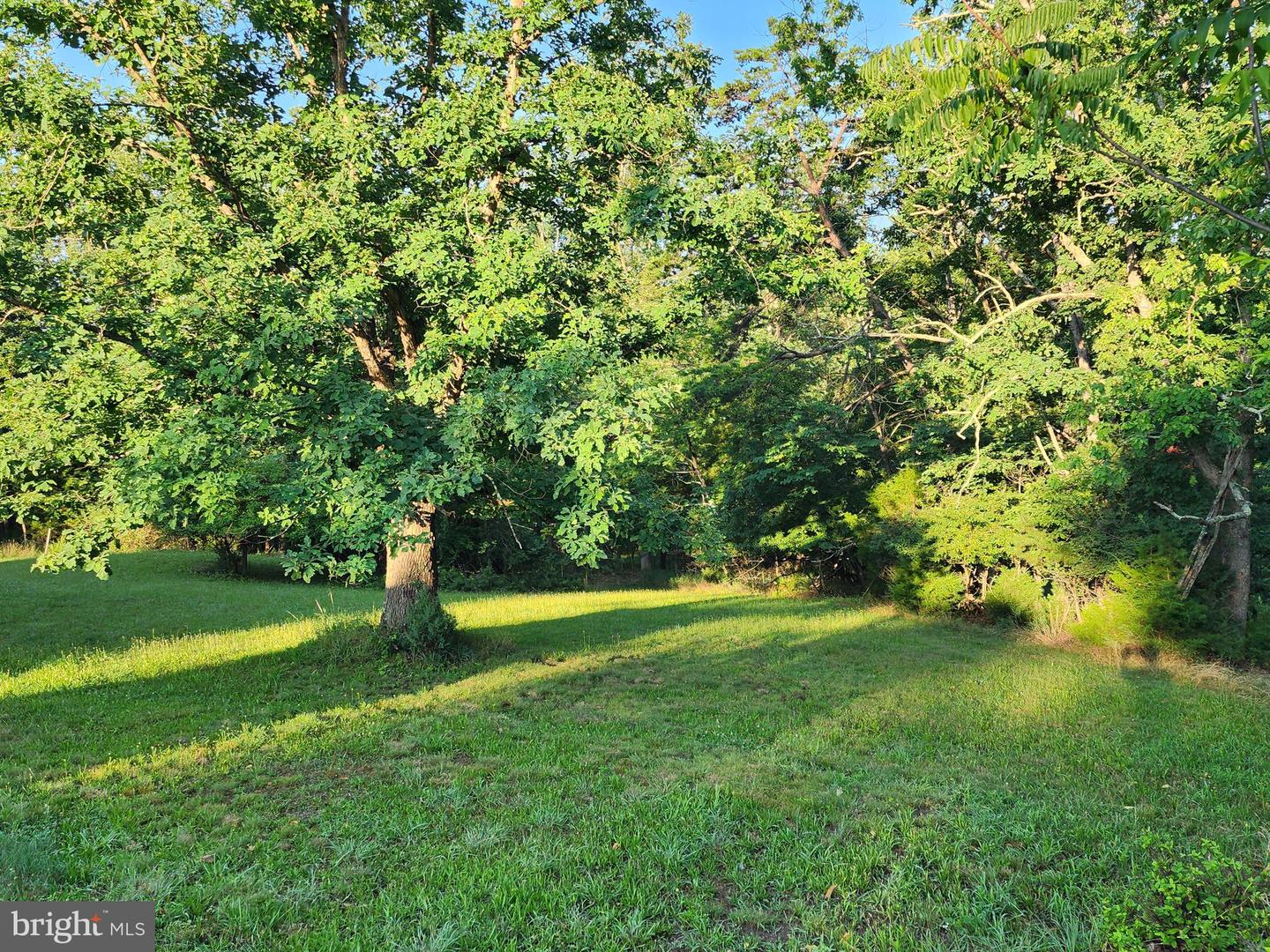 4549 Georges Run Rd Property Photo 22