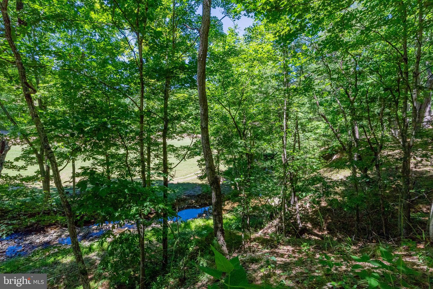 2084 Double Cribbs Rd Property Photo 16