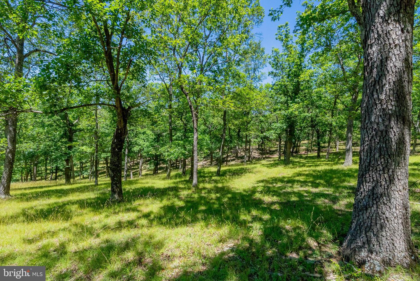 2084 Double Cribbs Rd Property Photo 19