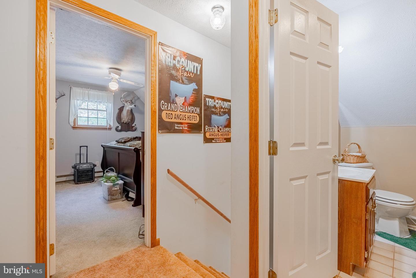2084 Double Cribbs Rd Property Photo 63