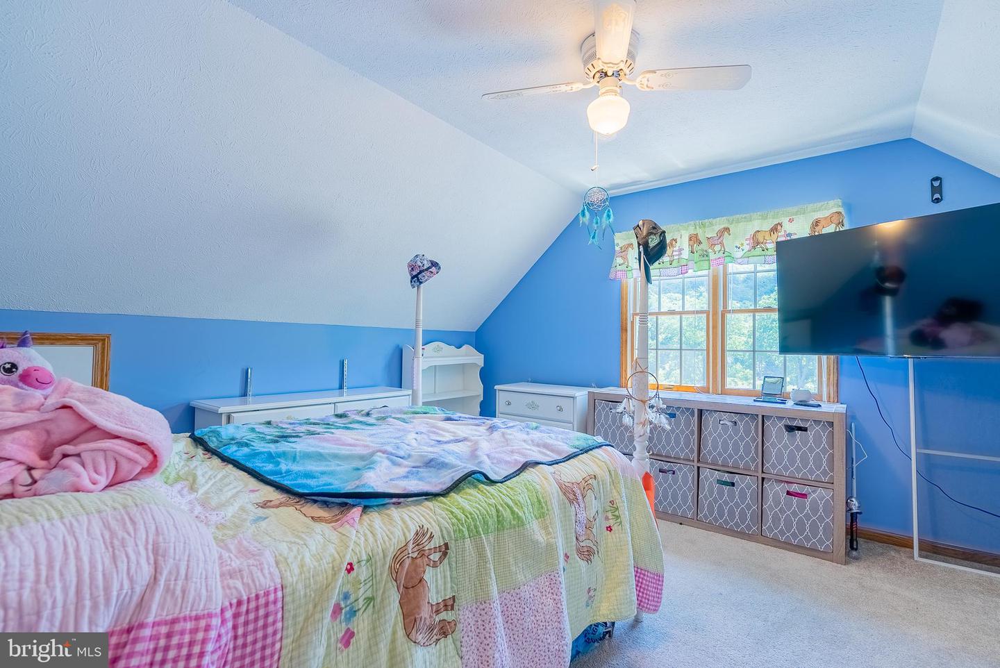 2084 Double Cribbs Rd Property Photo 65