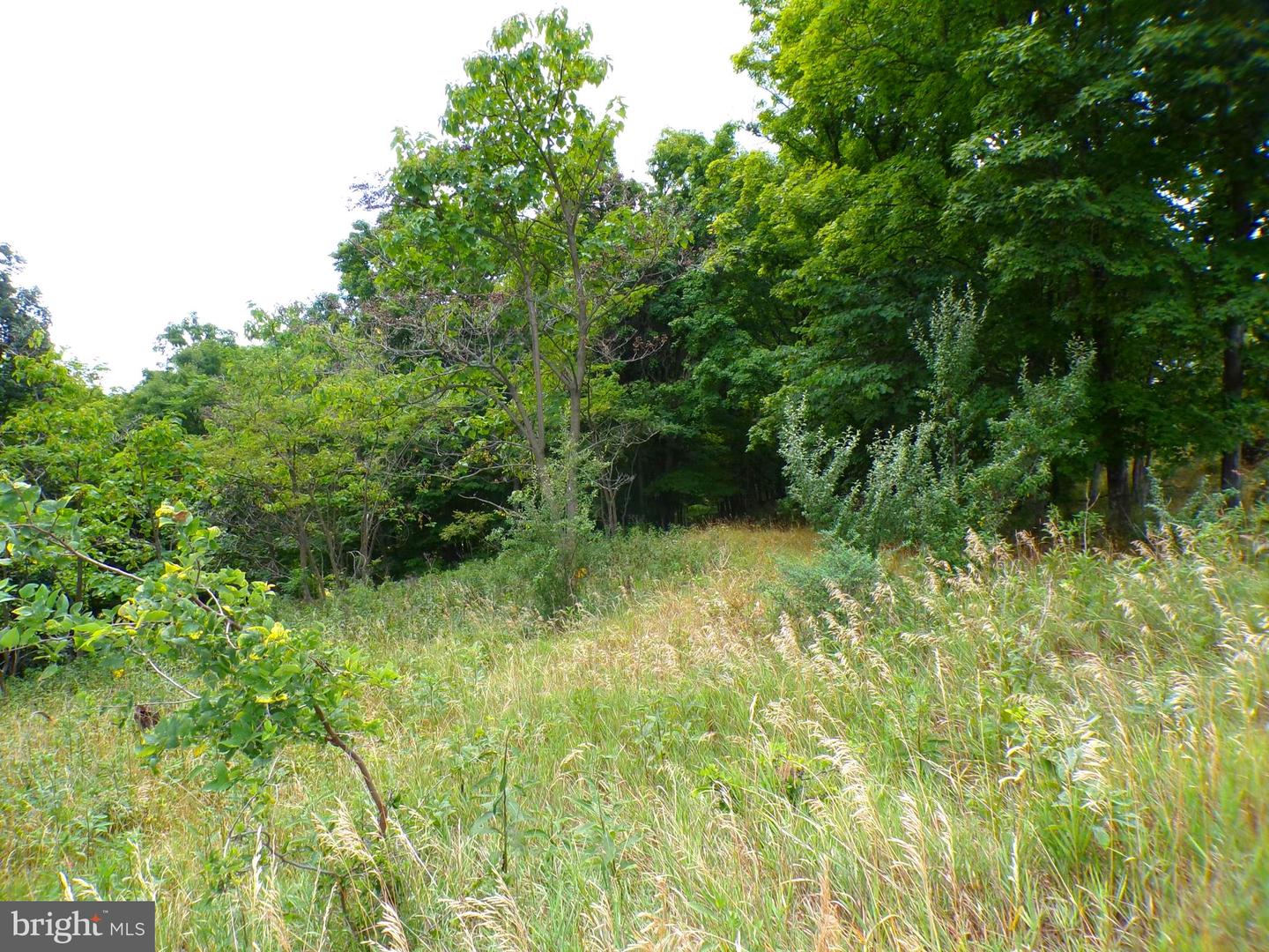 10.1 Ac Waxler Road Property Photo 1