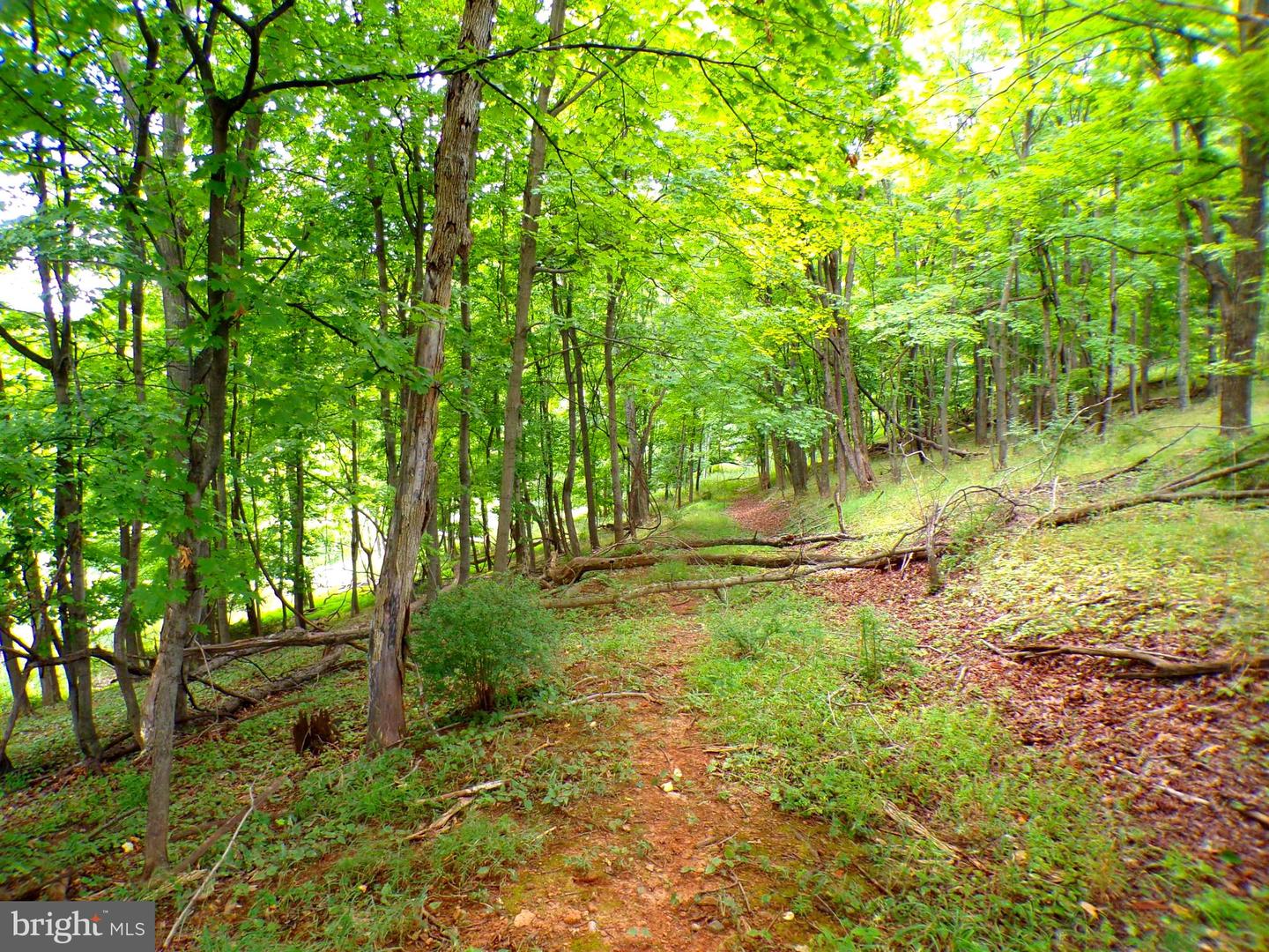 10.1 Ac Waxler Road Property Photo 2