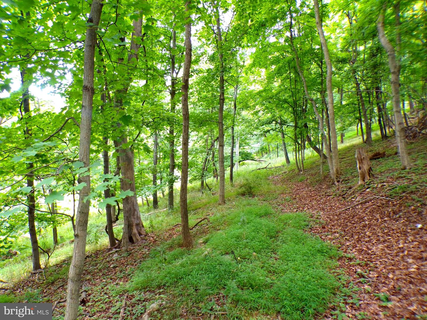 10.1 Ac Waxler Road Property Photo 3