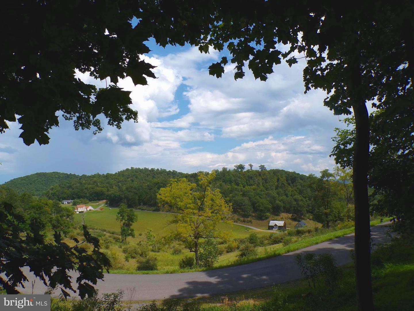 10.1 Ac Waxler Road Property Photo 4