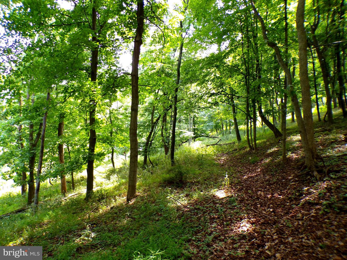 10.1 Ac Waxler Road Property Photo 5