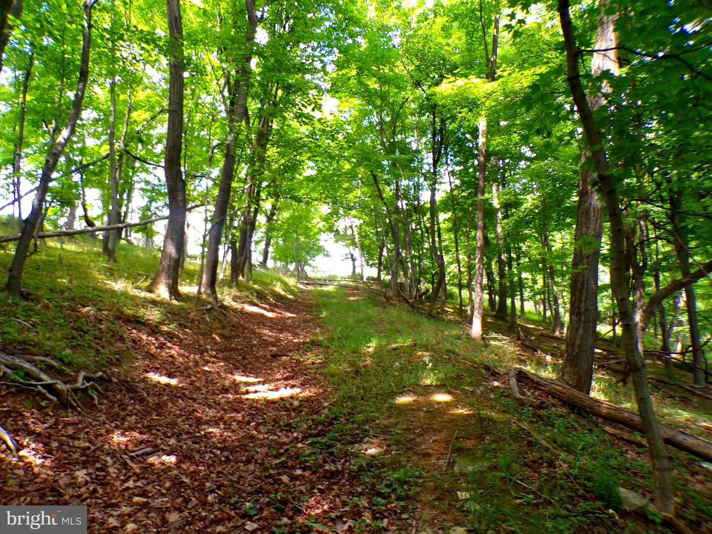 10.1 Ac Waxler Road Property Photo 6