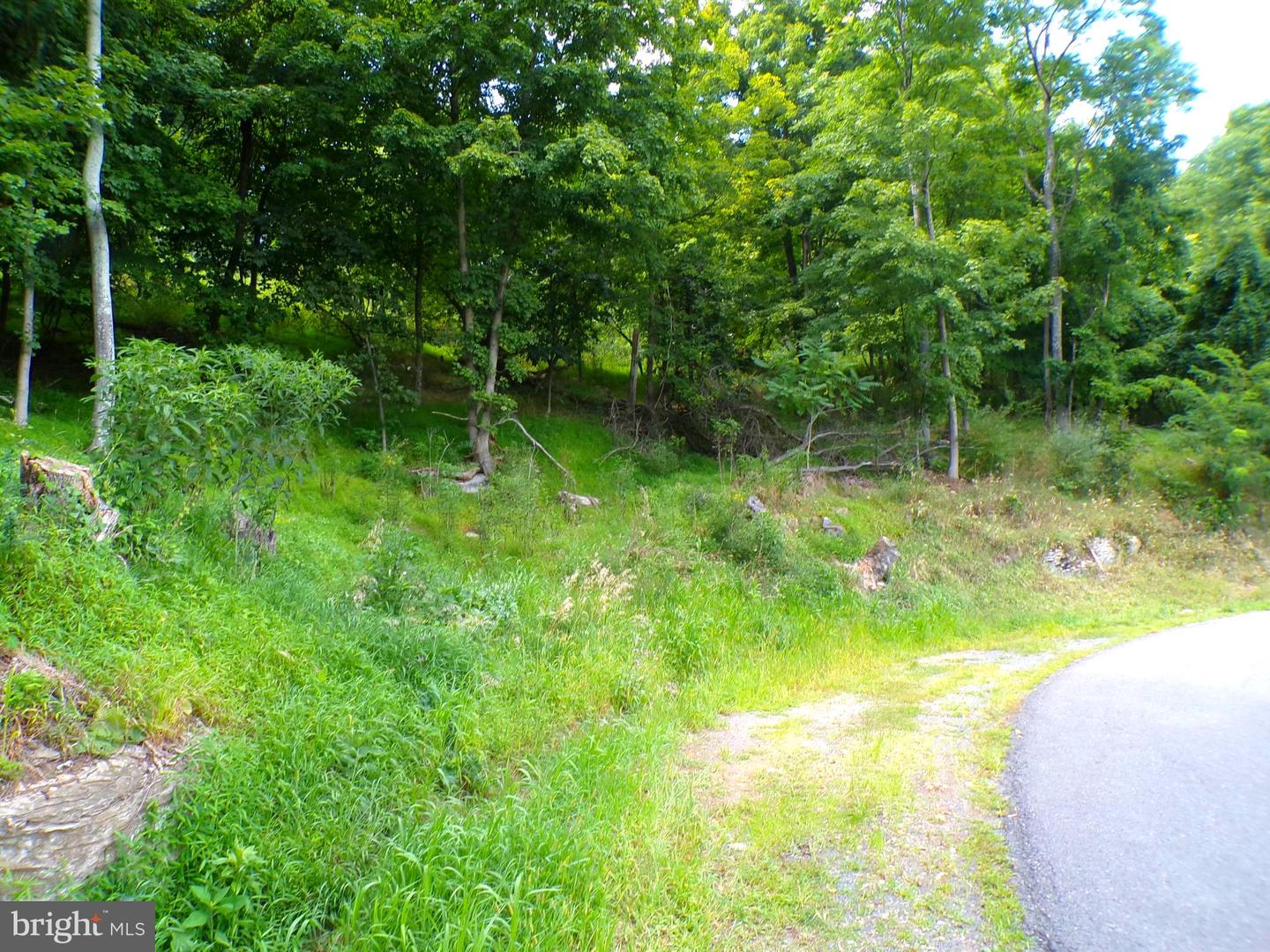 10.1 Ac Waxler Road Property Photo 7