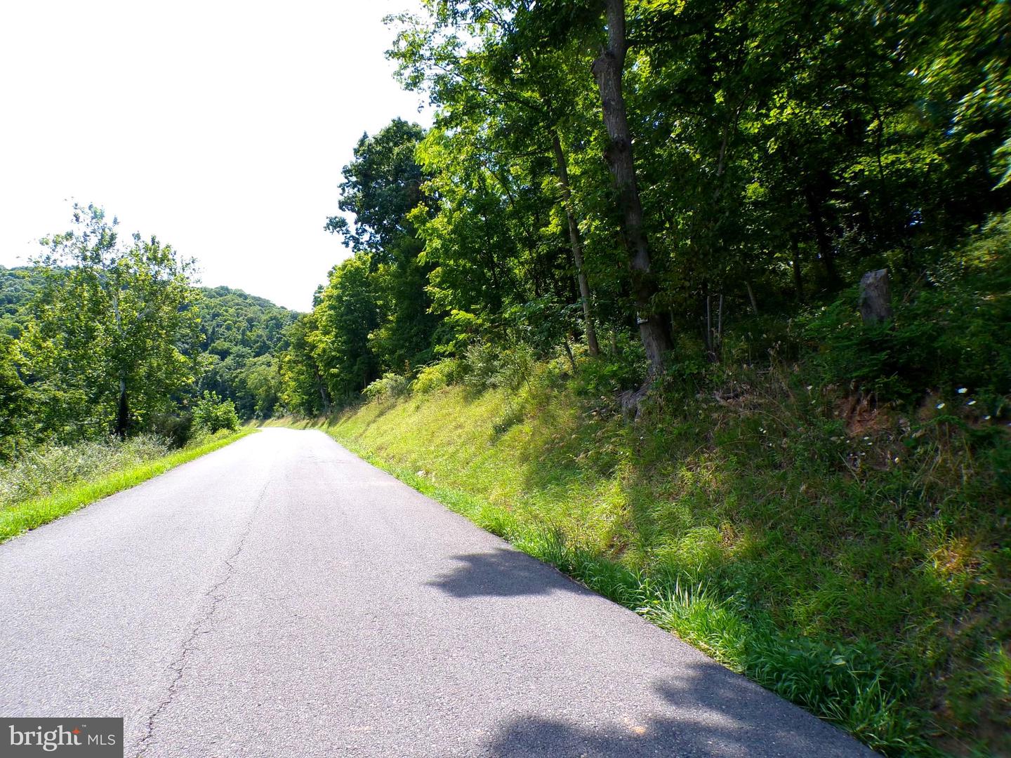 10.1 Ac Waxler Road Property Photo 8