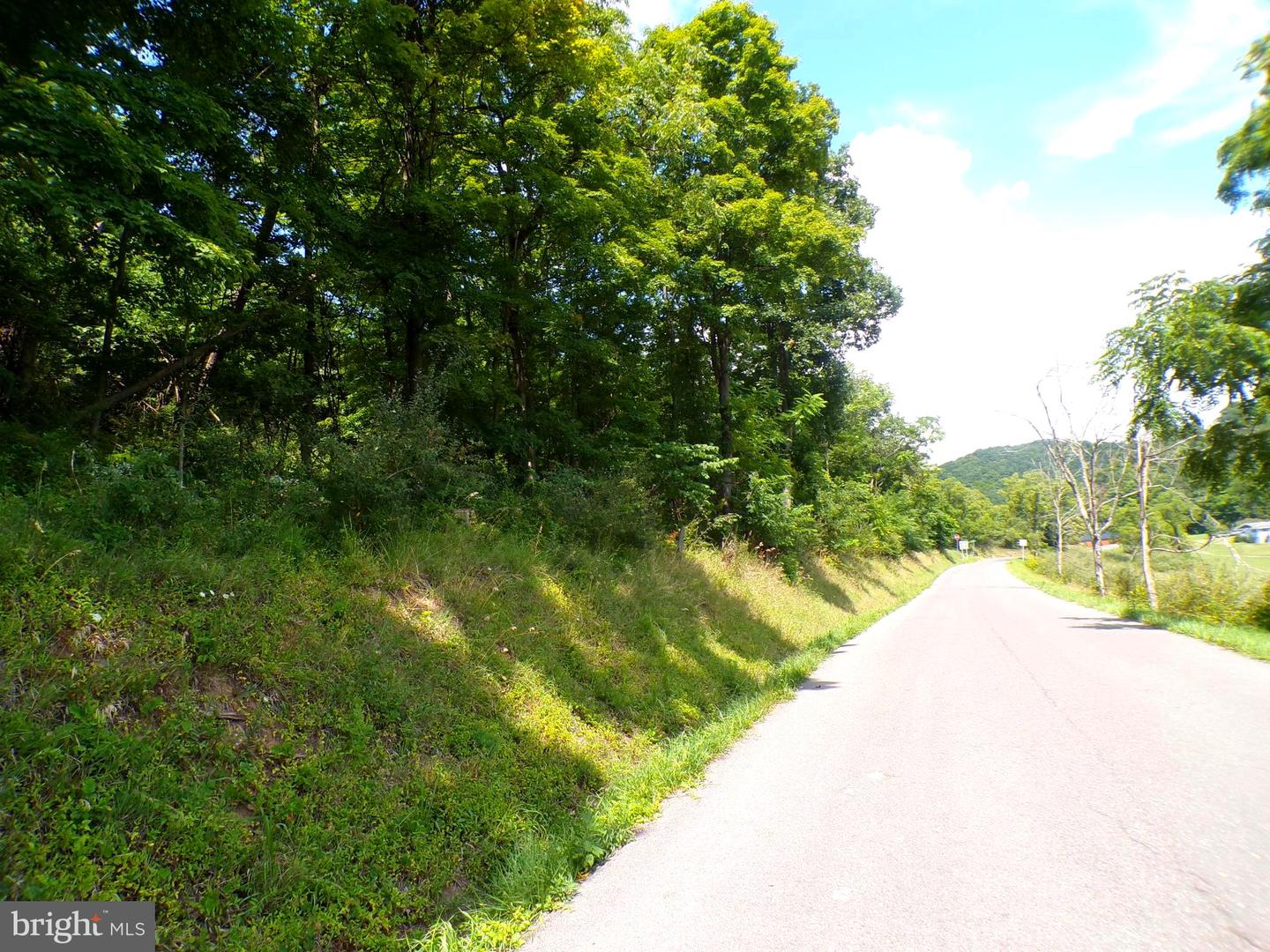 10.1 Ac Waxler Road Property Photo 9