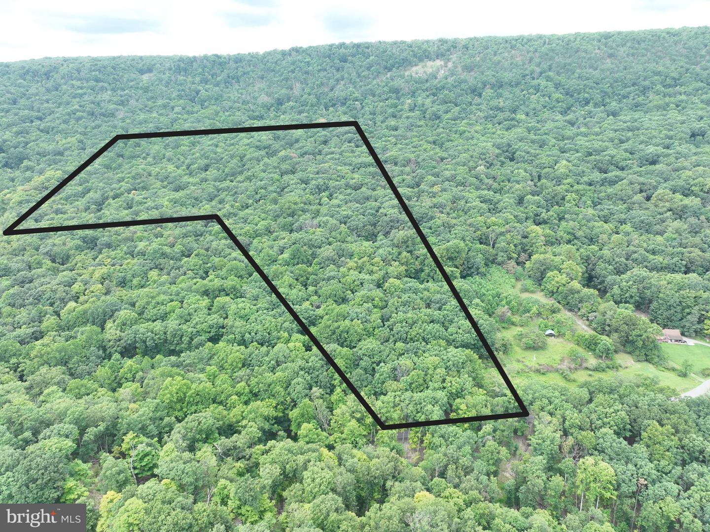 19.36 Ac Penneroil Rd Property Photo 7