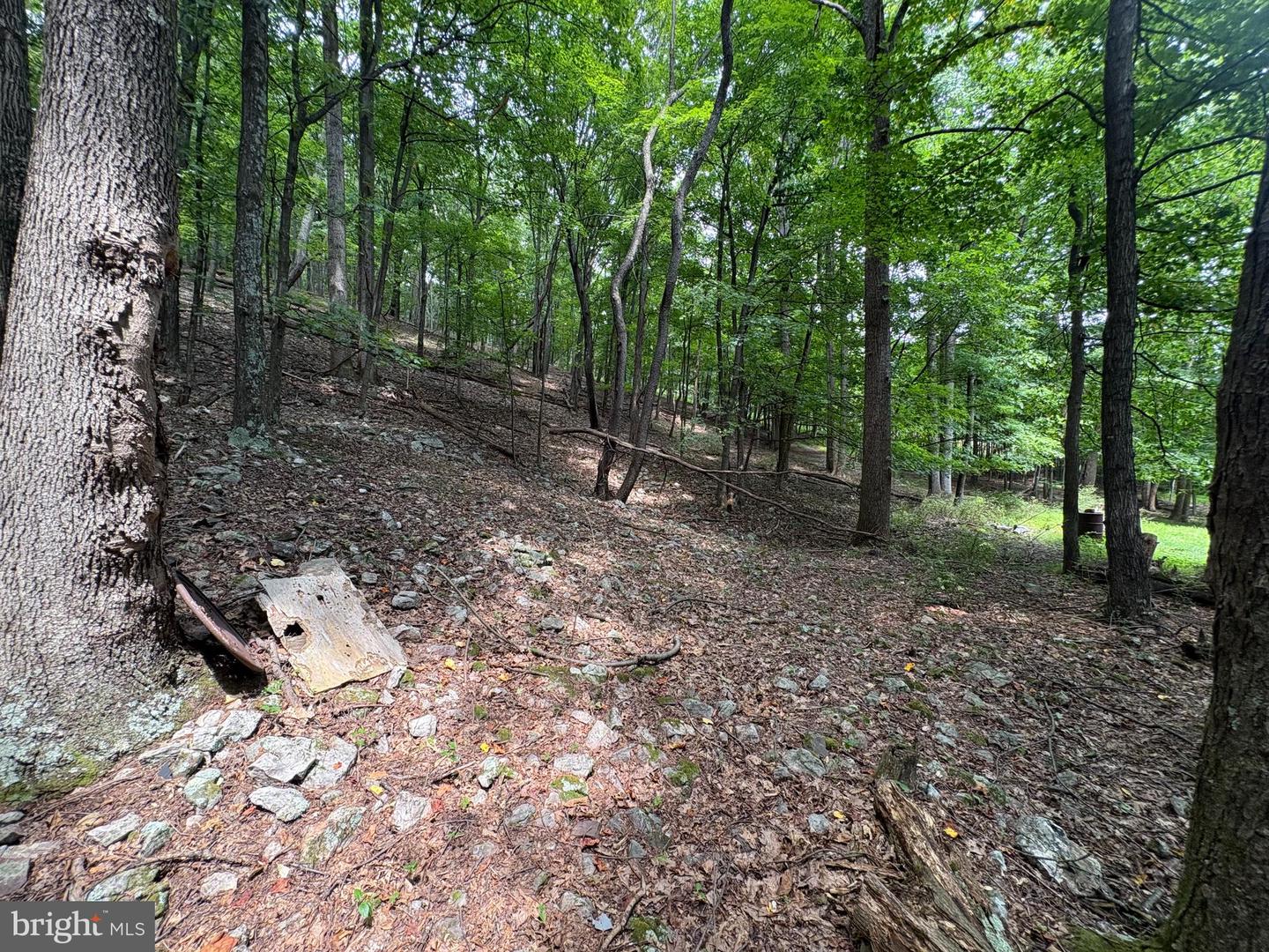 19.36 Ac Penneroil Rd Property Photo 11