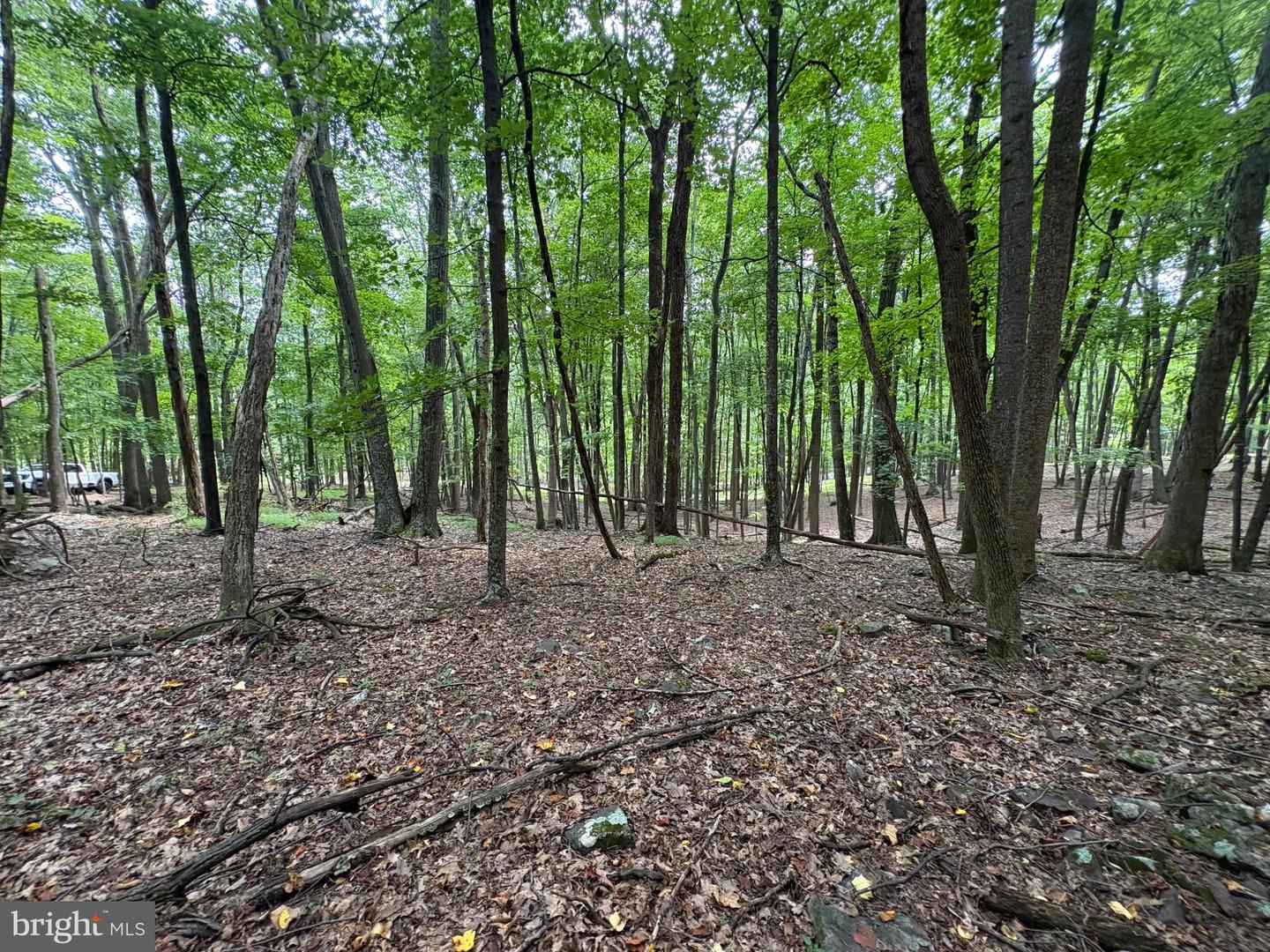 19.36 Ac Penneroil Rd Property Photo 16