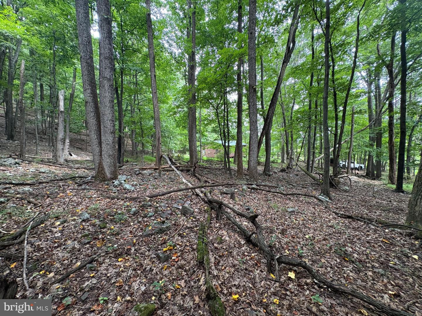 19.36 Ac Penneroil Rd Property Photo 17
